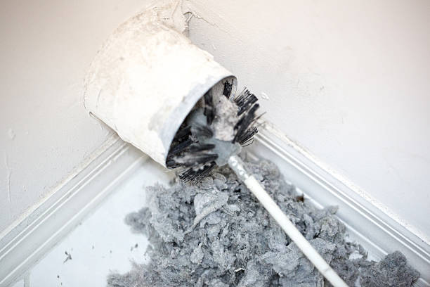 Best Professional Duct Cleaning Services  in Norton Shores, MI